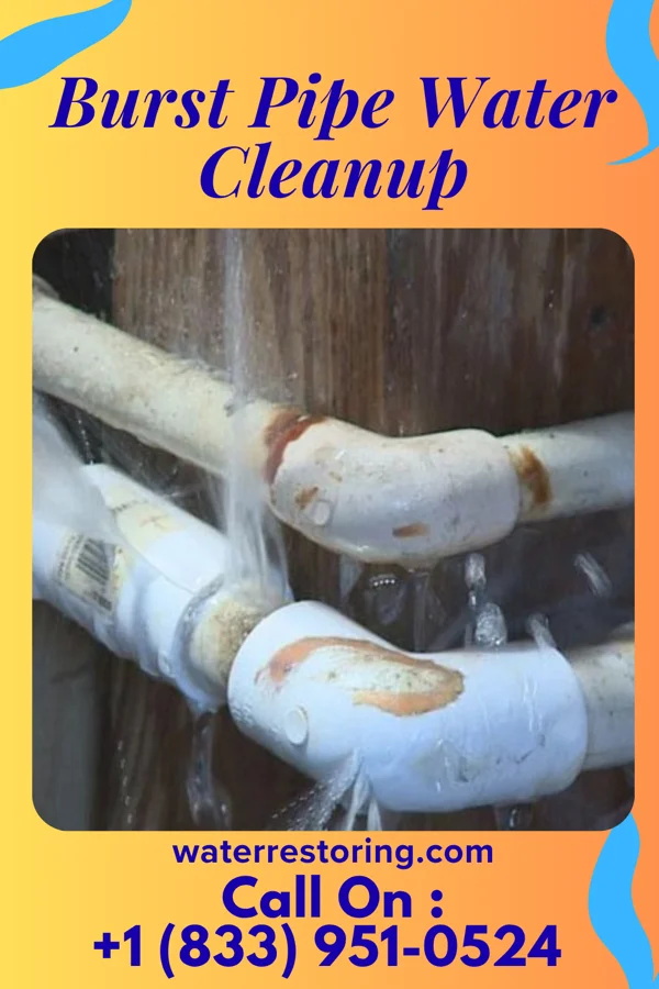 Burst Pipe Water Cleanup in Athelstan, IA